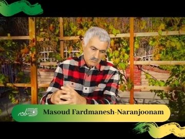 Masoud Fardmanesh-Naranjoonam